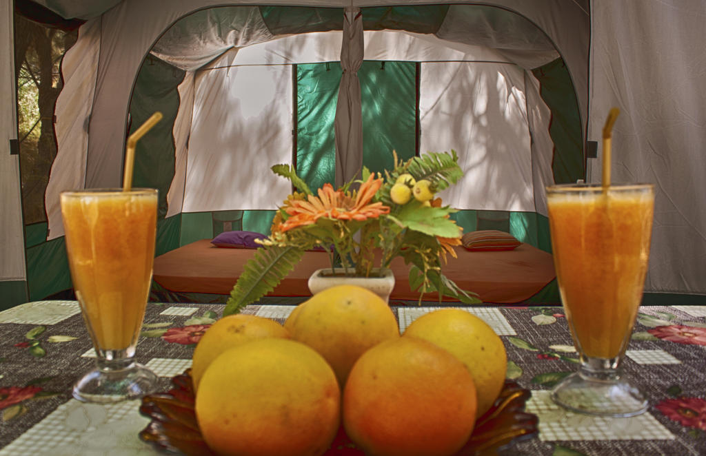 Camping Nopigia Kíssamos Quarto foto